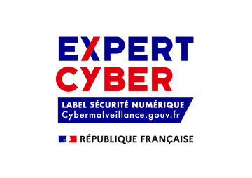 Expert Cyber