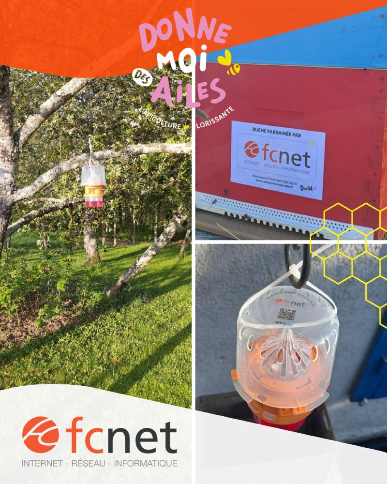 Journée mondiale des abeilles