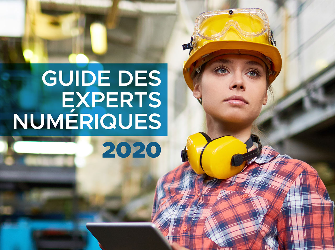 Guide des Experts du Numérique - Edition 2020