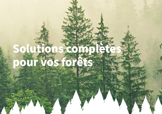 Refonte du site internet CTF Forestier