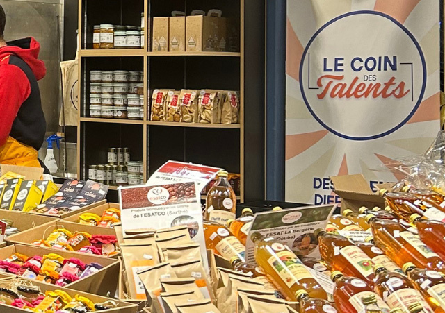 Création du site web Pôle Travail Solidarité Doubs Handicap